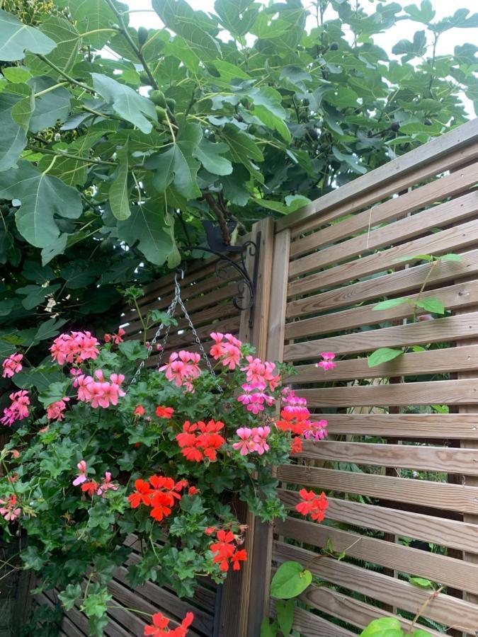Studley  Sunshine Cottage מראה חיצוני תמונה